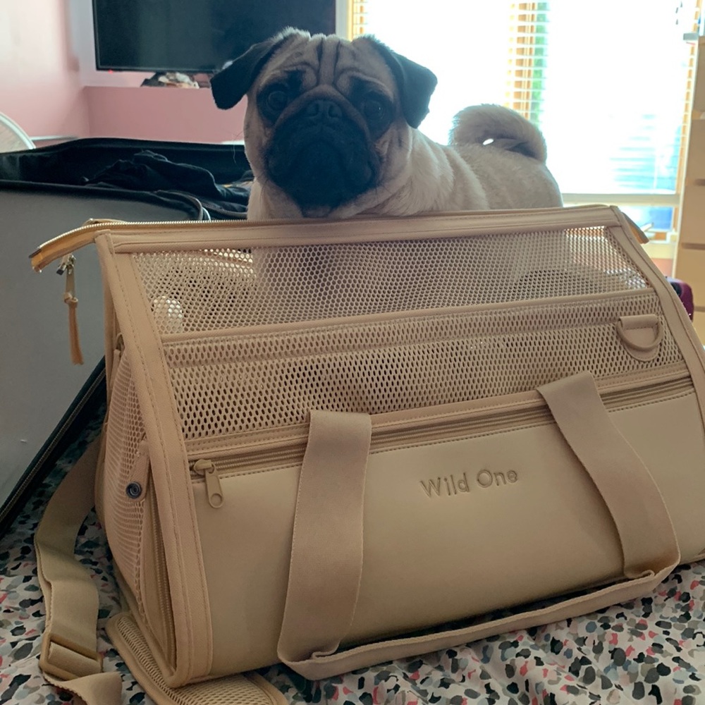 The Wild One Travel Carrier